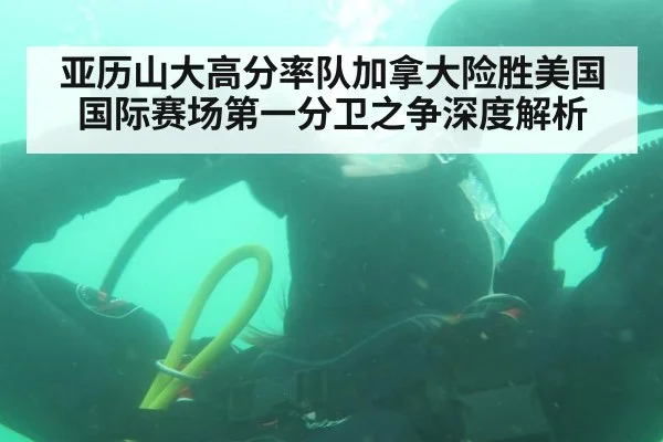 亚历山大高分率队加拿大险胜美国 国际赛场第一分卫之争深度解析