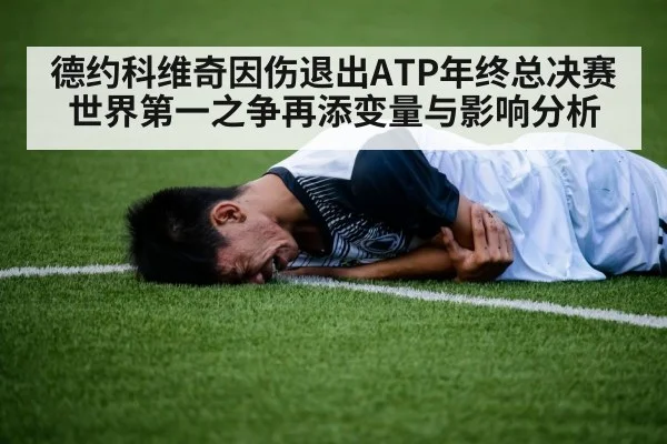 德约科维奇因伤退出ATP年终总决赛 世界第一之争再添变量与影响分析